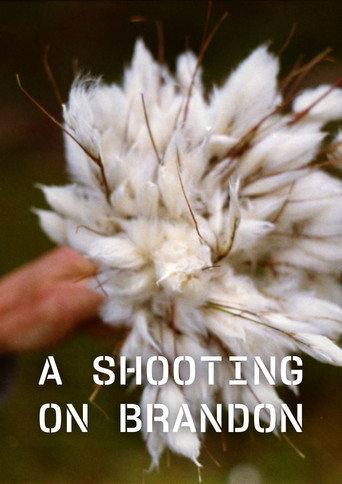 A Shooting on Brandon () poster
