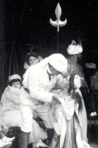 The Flight from the Seraglio (1907) poster