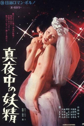 Midnight Fairy (1973) poster