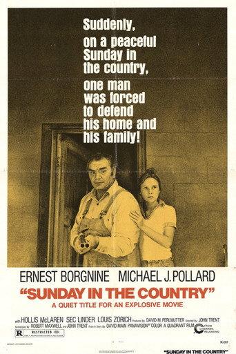 Sunday in the Country (1974) poster