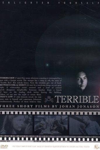 Terrible () poster