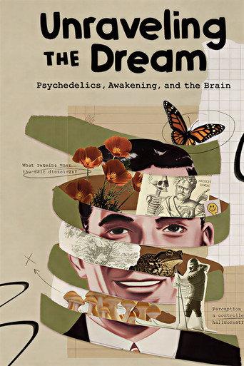 Unraveling the Dream (2026) poster