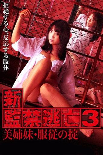 Escape Captivity 3: The Beautiful Sisters' Law of Submission (2010) poster