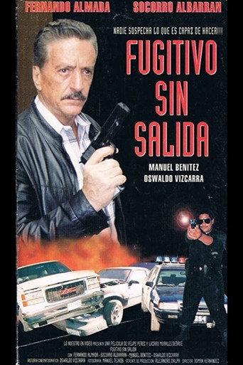 Fugitivo sin salida (1995) poster