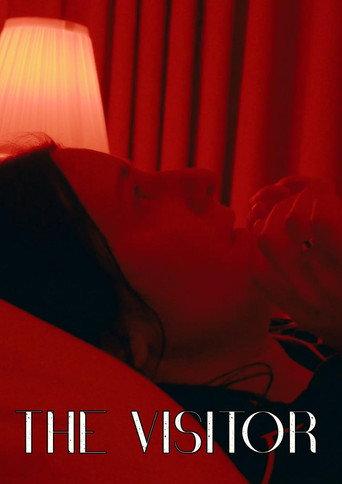 The Visitor (2026) poster