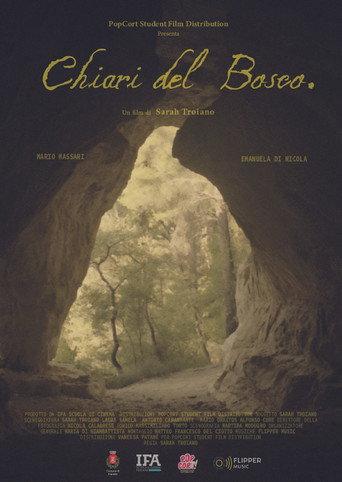 Chiari del Bosco () poster