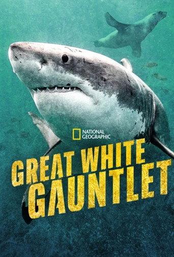 Great White Gauntlet (2026) poster