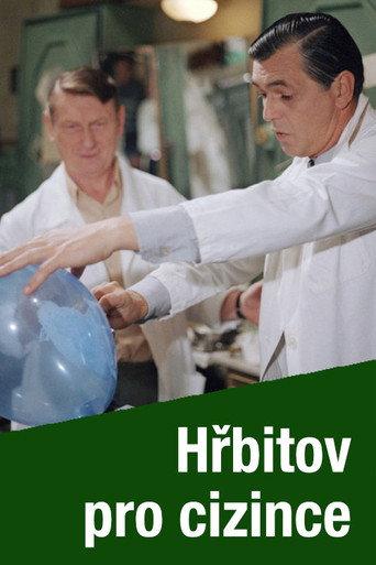 Hřbitov pro cizince (1991) poster