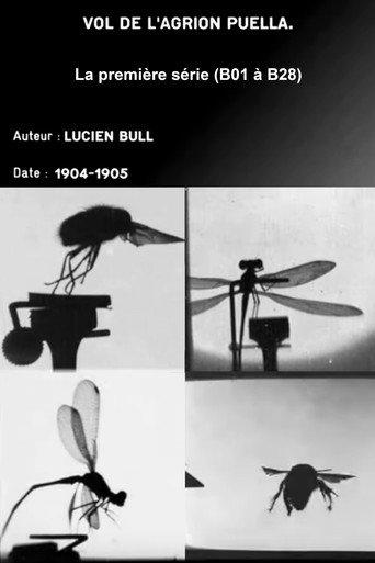Series 1 (insect flights) (1905) poster