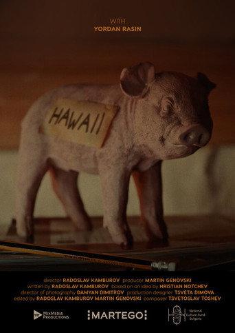 Hawaii (2024) poster