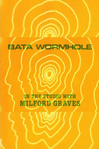 Bata Wormhole (2020) poster