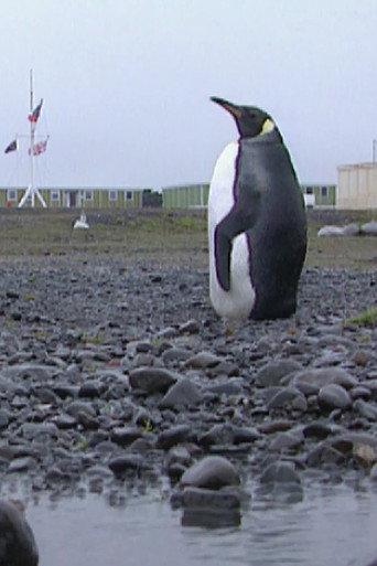Iles Kerguelen: l'île aux savants (1996) poster