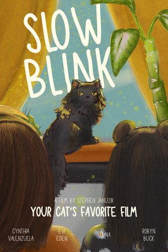 Slow Blink () poster
