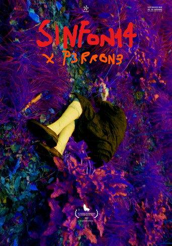 SINFON14 (2022) poster