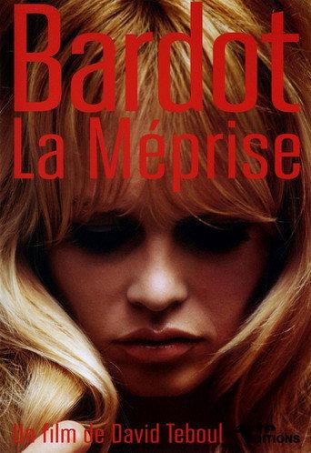 Bardot, The Misunderstanding (2013) poster