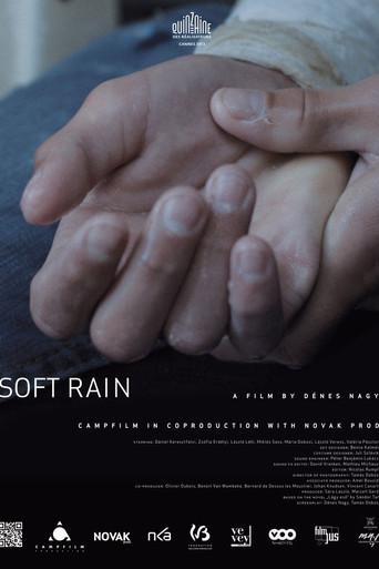 Soft Rain (2013) poster