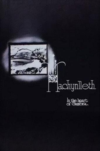 Machynlleth (1929) poster