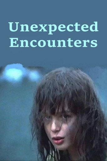 Unexpected Encounters (1994) poster