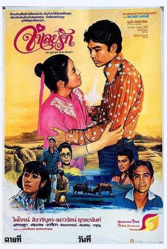 Prisoner Of Love (1978) poster