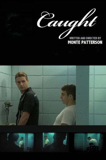 Caught (2011) poster