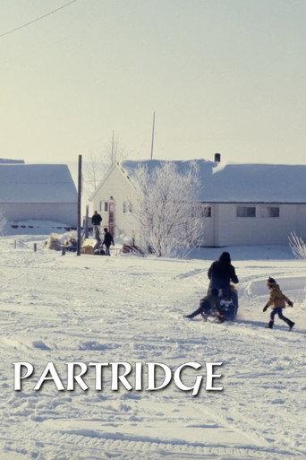 Partridge (1972) poster