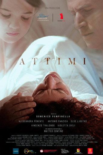 Attimi - Instants () poster