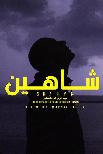 SHAHYN - THE RETURN OF THE FIERCEST TYPES OF HAWKS (2019) poster