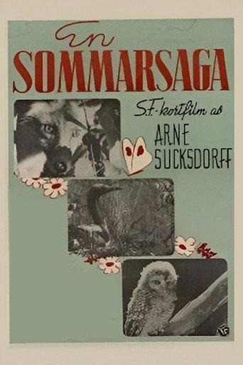 Summer's Tale (1941) poster