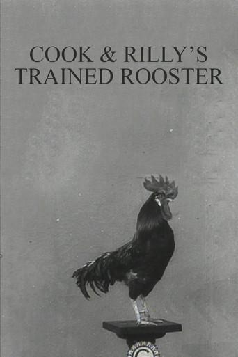 Cook & Rilly's Trained Rooster (1910) poster