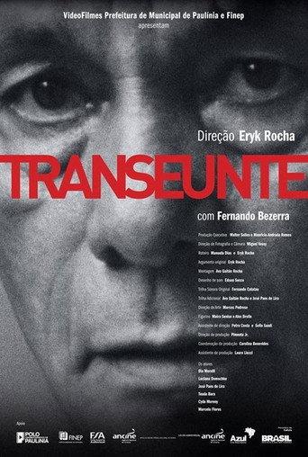Transeunte (2011) poster