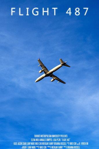 Flight 487 () poster