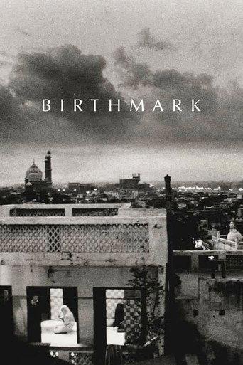 Birthmark () poster
