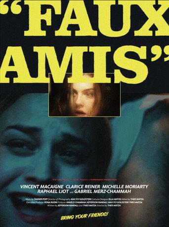 Faux Amis () poster