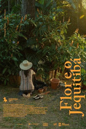 Flor e o Jequitibá (2026) poster