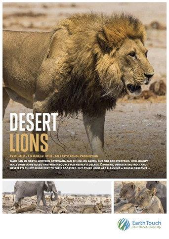 Desert Lions (2017) poster