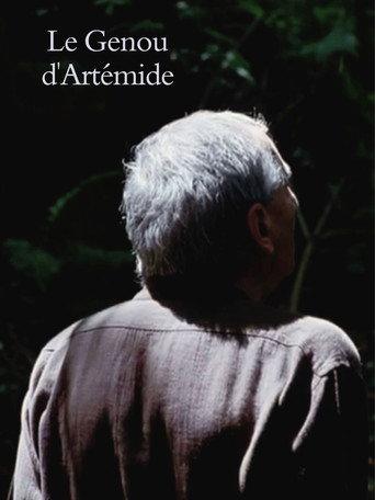 Artemide’s Knee (2008) poster