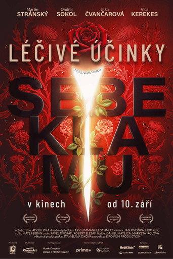 Léčivé účinky sebeklamu (2026) poster
