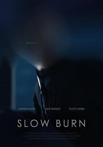 Slow Burn (2017) poster