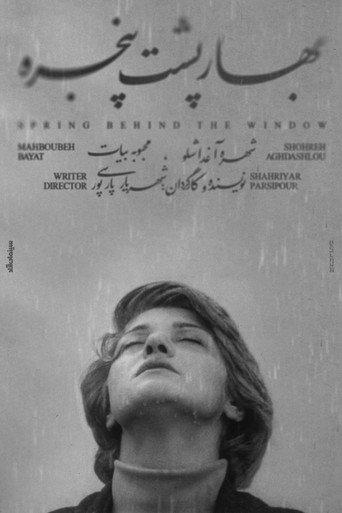 Spring Behind the Window (1973) poster