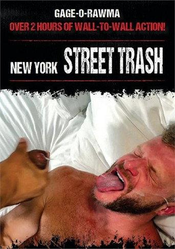New York Street Trash (2024) poster