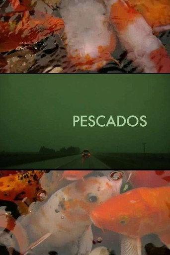 The Fish (2010) poster