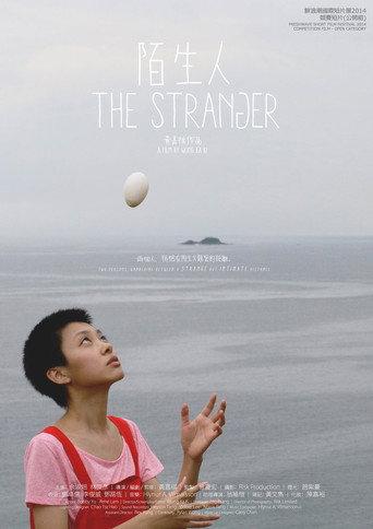 The Stranger (2014) poster