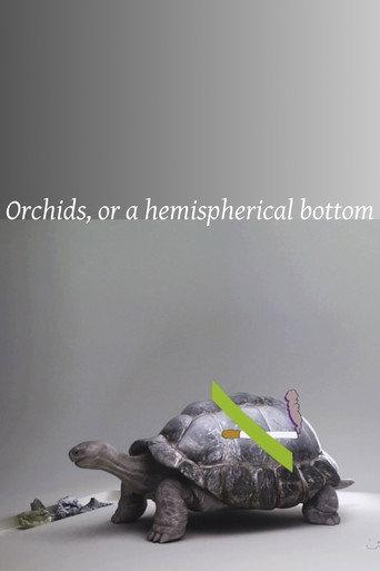 Orchids, or a hemispherical bottom (2013) poster