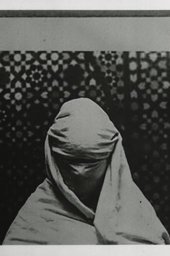 The Fold (2026) poster