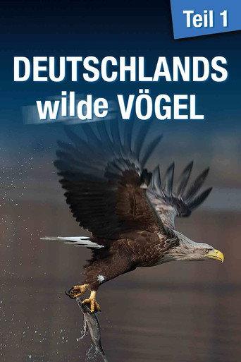 Deutschlands wilde Vögel (2013) poster