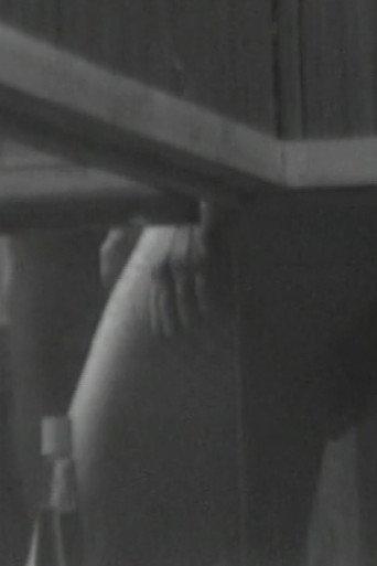 Sauna View (1973) poster