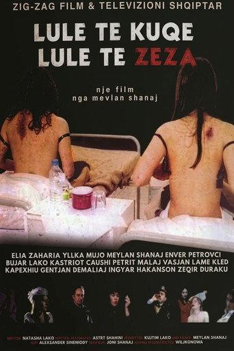 Red Flowers, Black Flowers (2003) poster