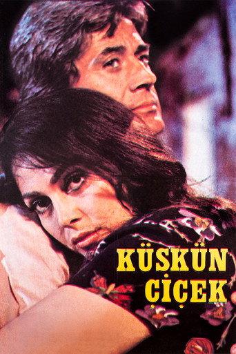 Resentful Flower (1979) poster