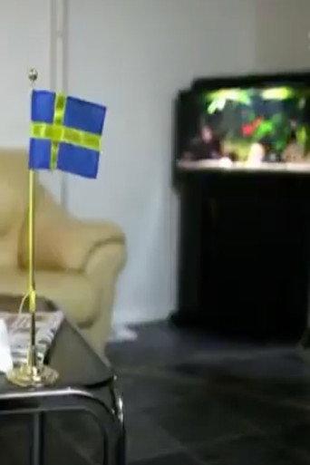 Sverigedemokraterna - vägen till riksdagen (2010) poster