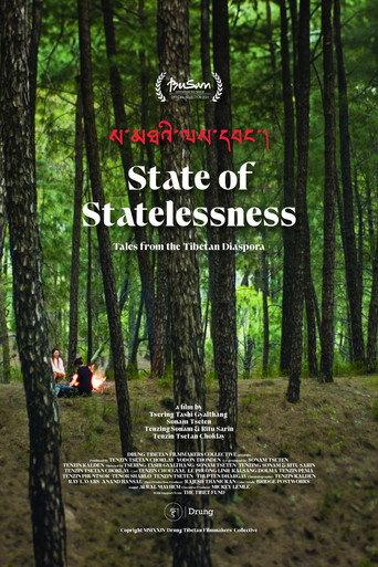 State of Statelessness (2026) poster